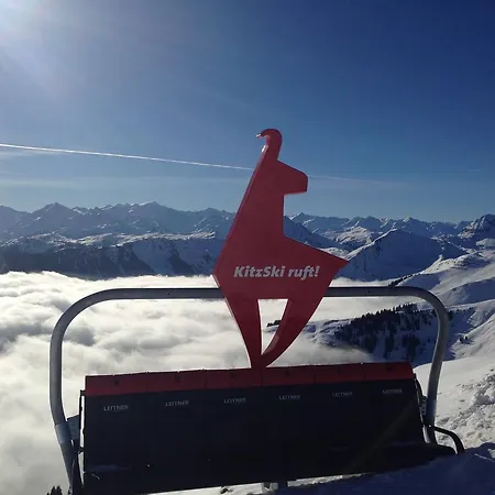 Lisa Schweiger Lejlighed