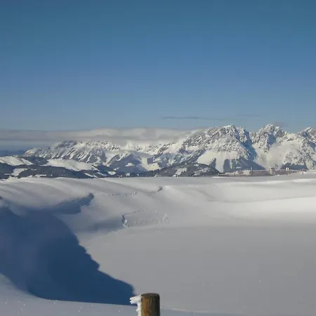 Lisa Schweiger Lejlighed