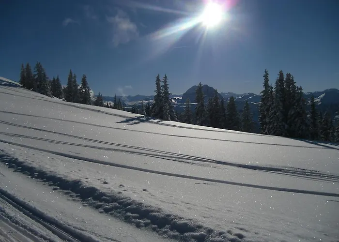 Lisa Schweiger Apartmán *