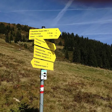 Daire Lisa Schweiger