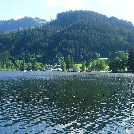 Daire Lisa Schweiger *