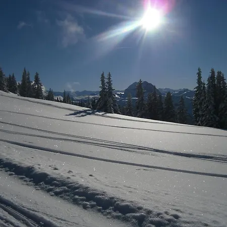 Lisa Schweiger Daire *